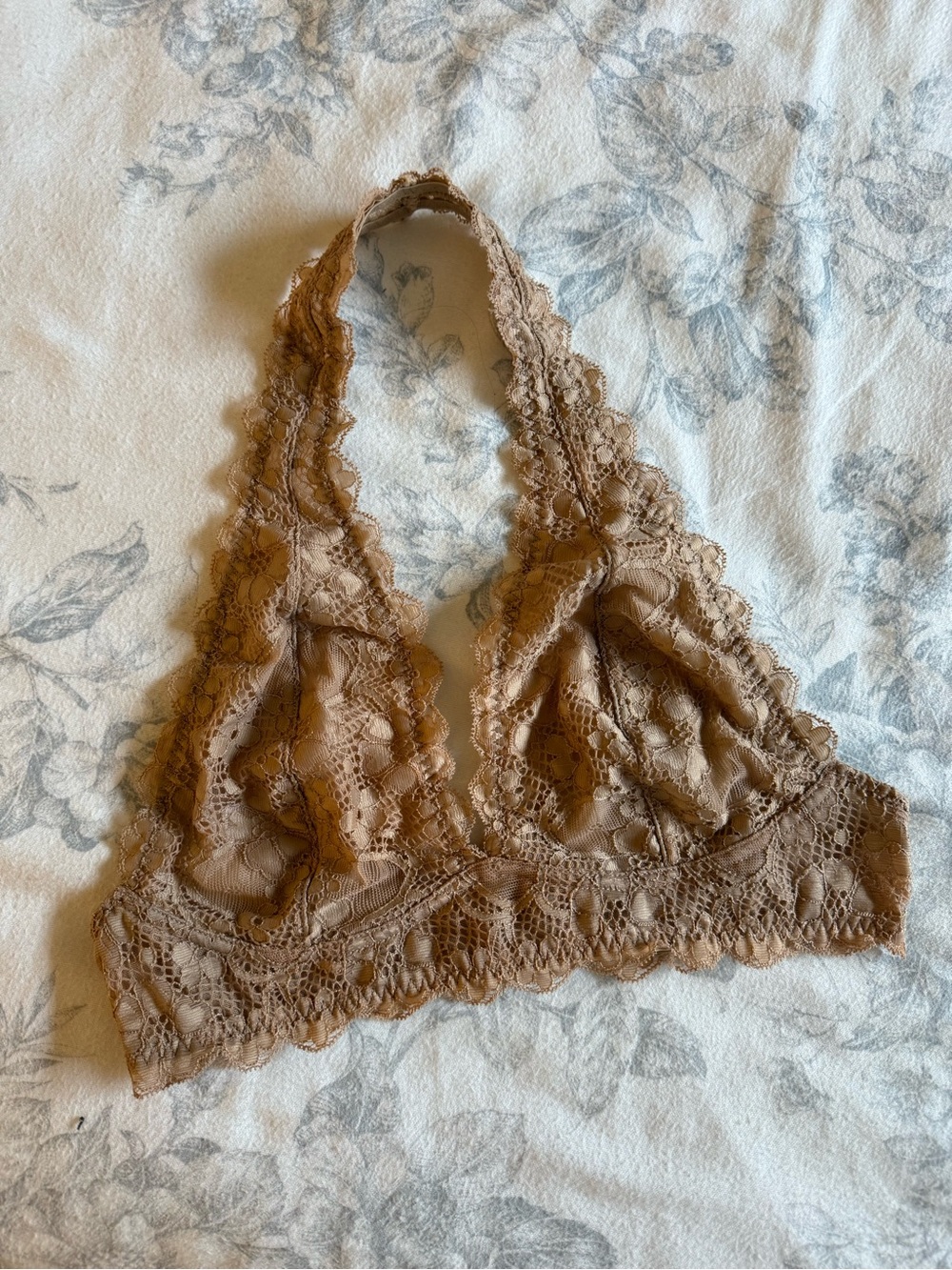 Free People Scalloped Lace Halter Bralette in Chestnut